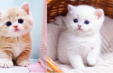 Screenshot_20260127-071423